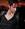 antony_principe1