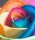 arcobaleno75_7