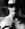 atlas.by