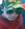banzato.valerio