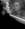 biancaneve253