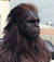 bigfoot_19