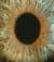blink.of.an_Eye