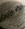 blueyedragon