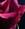 boccadi_rosa_1990