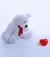 cacciagrossa100