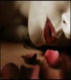 camillia