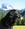 cane.blacky