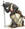 cavaliere.michael