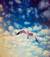 cieloverde4