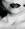 cocochanel64