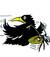 crow.72