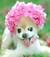 crystal_f