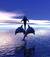 delfino_blunotte66
