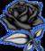 desertblackrose