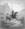 donchisciotte_2007