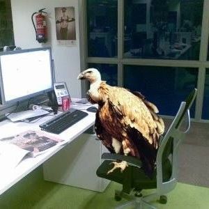 elcondorpasaaa