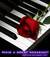 faby_15