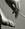 fenderstrato2