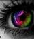 fiore_di_luna.9
