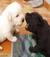 francescac_1974