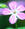 gardenservice.gen