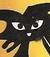 gattoficcanaso