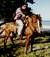 gaucho0