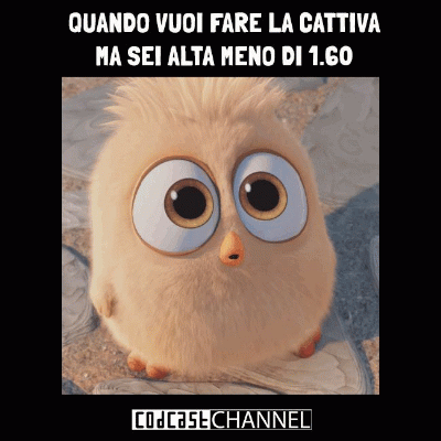 giada797