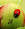 gigia_best