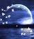 giovani_stelle