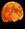 golden_moon