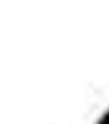 homme69a