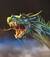 ildrago5