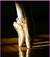 in_punta_di_piedi3