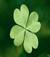 irishcream1