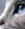 isaia_200655428