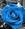 la_tua_rosa_blu