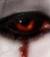 lady_blood
