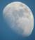 ladyredmoon