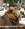 leone_solitario