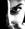 lilian_harris