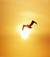 limperatricedelsole
