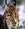 lince734