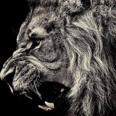 lionblack4