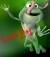 little.frog