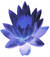 loto_08