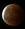 luna26477