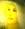 luna_56