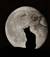 luna_white
